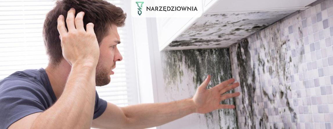 Jak pozbyć się wilgoci w domu